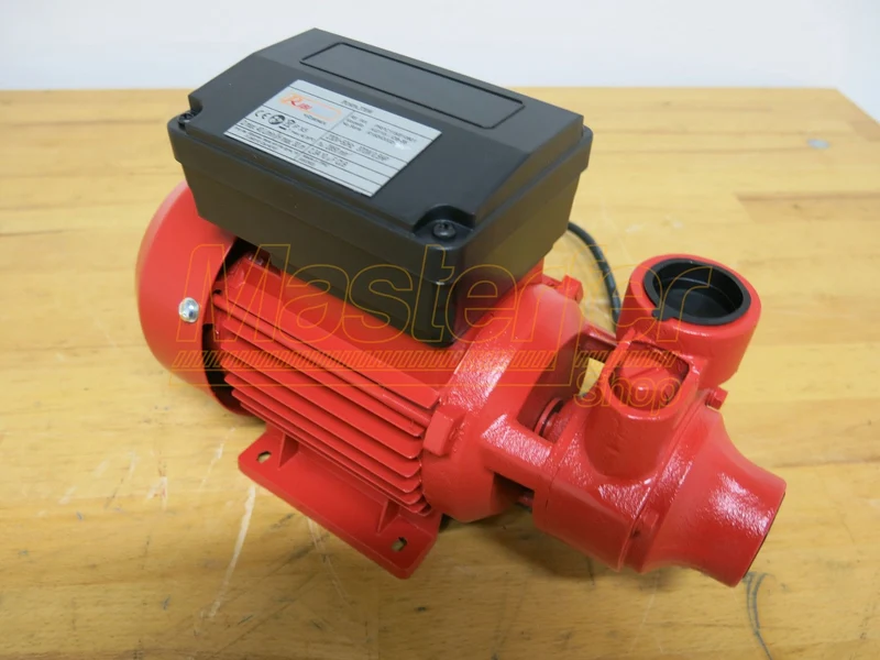 Pompa travaso gasolio Ribimex PRKG115A - con KIT PRO pronta all'uso