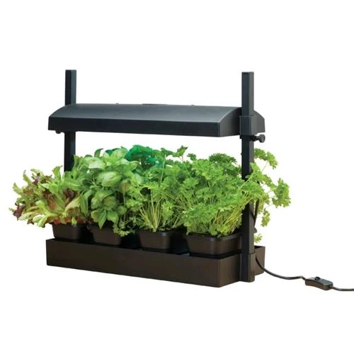 GROW LIGHT GARDEN 11W - MINI GIARDINO INTERNO