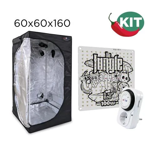 KIT PEPERONCINO - BOX 60 - LED LT 100