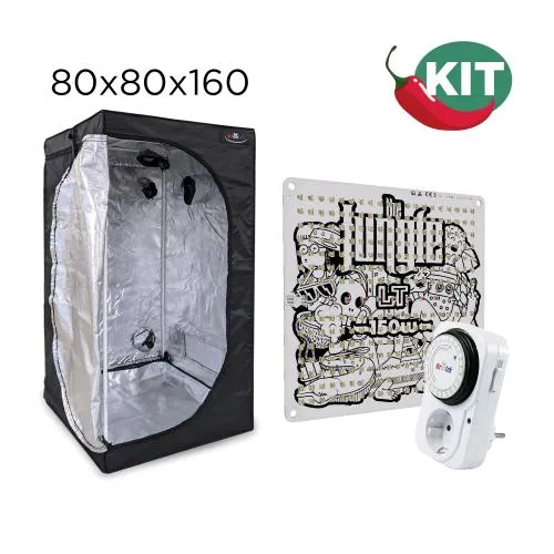 KIT PEPERONCINO - BOX 80 - LED LT 150