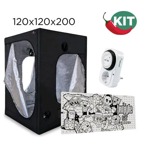 KIT PEPERONCINO - BOX 120 - LED LT 200
