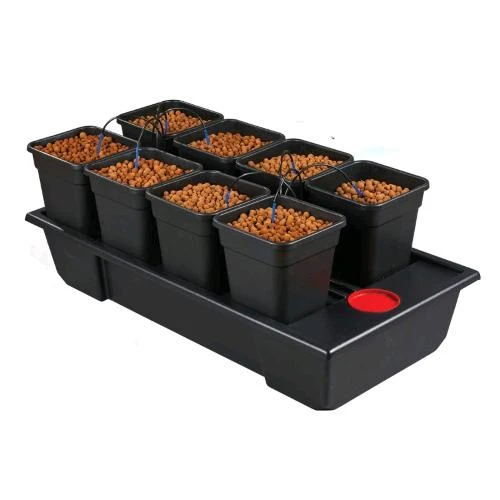 NUTRICULTURA - WILMA - ORIGINE PICCOLO LARGO 8 - 11L