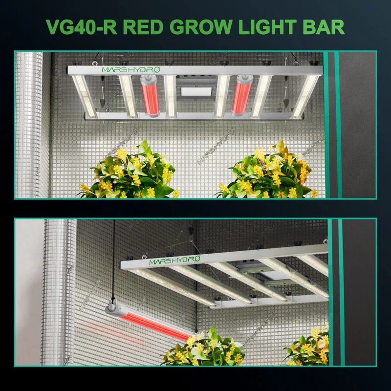 Mars Hydro VG40 LED rosso per la crescita delle piante da interno Supplementare 650-665nm Spettro esteso