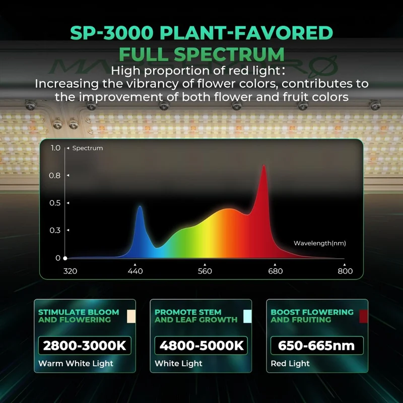 Mars Hydro SP 3000 Full Spectrum 300W Lampada LED ad alta intensità per la crescita