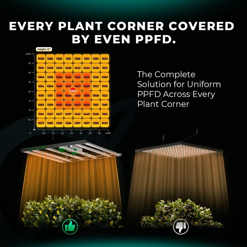Mars Hydro FC 6500-EVO SAMSUNG LM301H EVO 730W LED Grow Light per tenda da coltivazione 4'X4' Veg Flower
