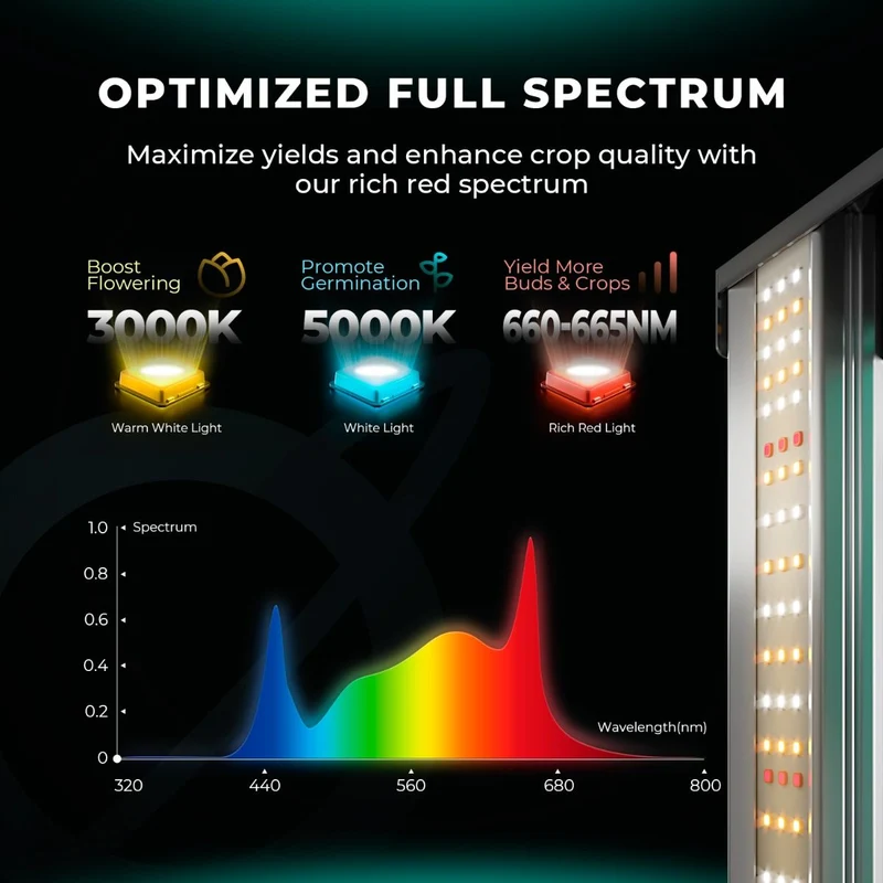 Mars Hydro FC 4000-EVO SAMSUNG LM301H EVO 320W LED Grow Light per tenda da coltivazione 2x4 Veg Flower