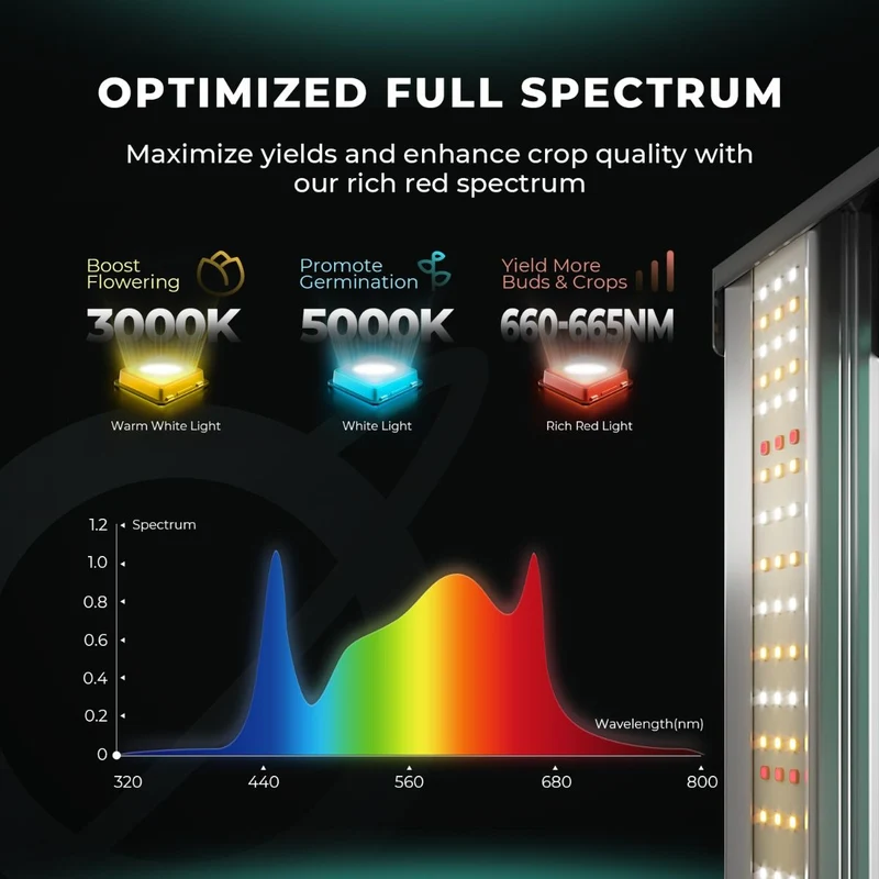 Mars Hydro FC1500-EVO Samsung LM301H EVO 150W dimmerabile LED Grow Light per 2.3'X2.3' Grow Tent Veg Flower