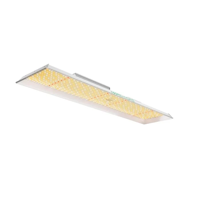 Mars Hydro TSL 2000 Full Spectrum dimmerabile 300W LED Grow Light