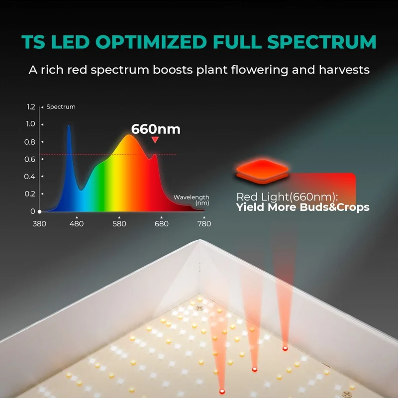 Mars Hydro TSL 2000 Full Spectrum dimmerabile 300W LED Grow Light