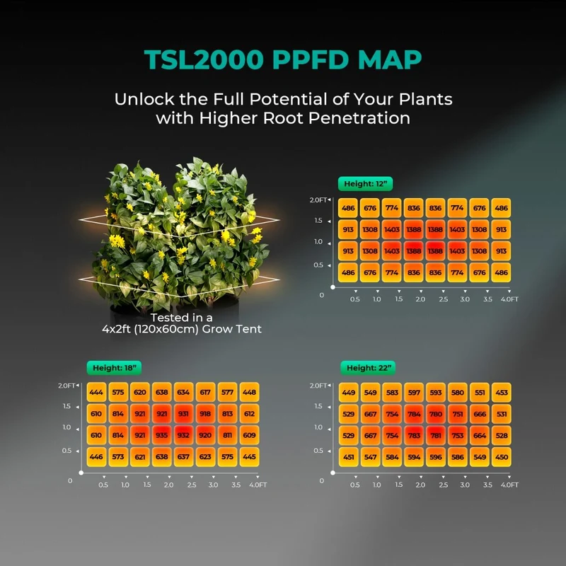 Mars Hydro TSL 2000 Full Spectrum dimmerabile 300W LED Grow Light