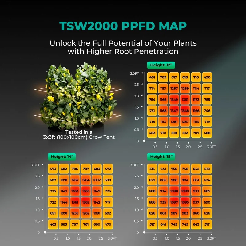 Mars Hydro TSW 2000 Full Spectrum 300W Dimming LED Grow Light per tenda 4x4 Piantagione ad alta densità