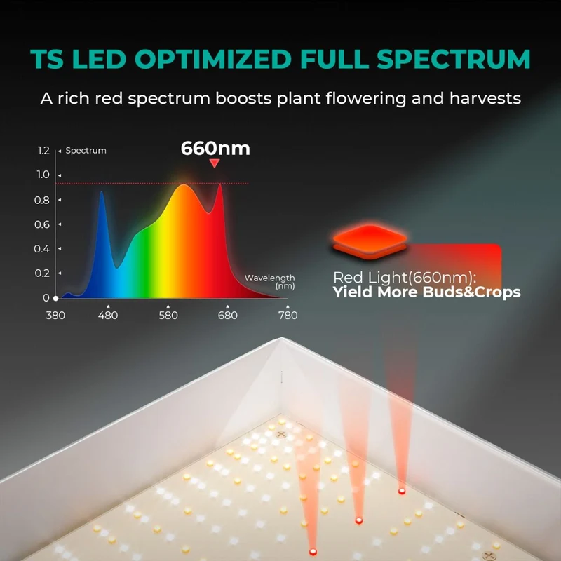 Mars Hydro TSW 2000 Full Spectrum 300W Dimming LED Grow Light per tenda 4x4 Piantagione ad alta densità