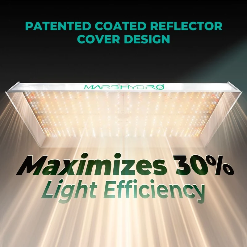 Mars Hydro TSW 2000 Full Spectrum 300W Dimming LED Grow Light per tenda 4x4 Piantagione ad alta densità