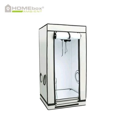 HOMEBOX - AMBIENTE Q60+ 60X60X160
