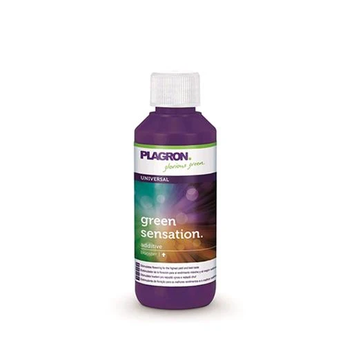 PLAGRON - SENSAZIONE VERDE - 100ML